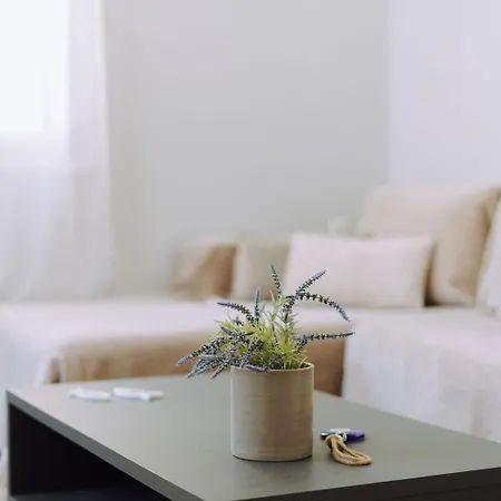 아파트 Lithostroto *