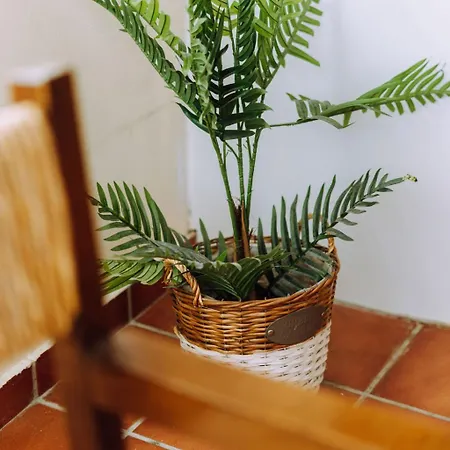 Lithostroto 아파트 아르고스톨리온