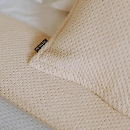 アパート Lithostroto アルゴストリオン