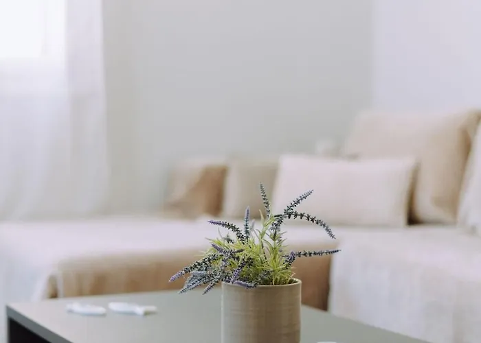 Appartement Lithostroto *