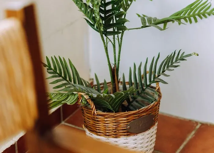 Lithostroto Appartement Argostóli